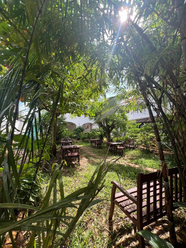 Sunlit garden with wooden chairs and tables under lush greenery.