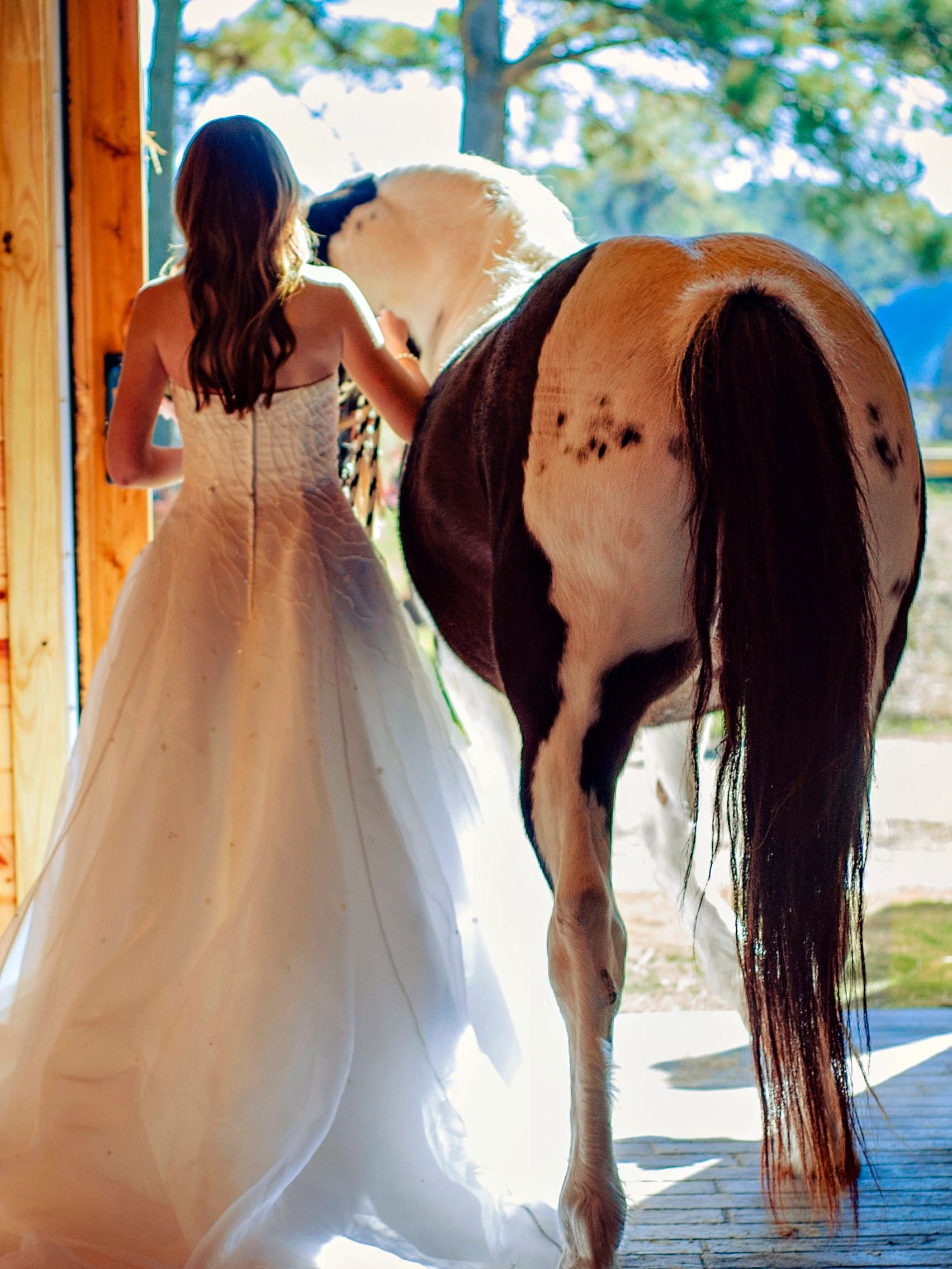 favorite Barn Wedding photo, Barn doors, Horse, NC ,Wedding Venue, Night wind farm