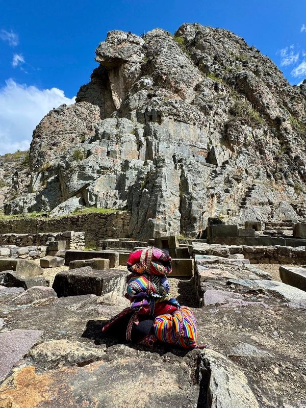 Andean Medicine Wheel
Shamanic Medicine Wheel
Tami Rogers
Plant Medicine 
#medicinewheeltraining