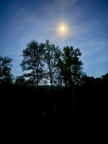 Tami Rogers
Shamanic Retreat