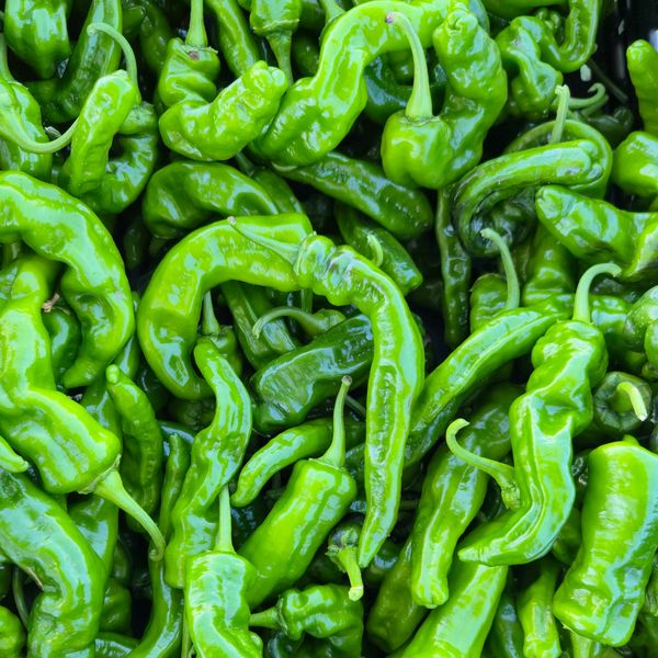 A pile of fresh, shiny green chili peppers.