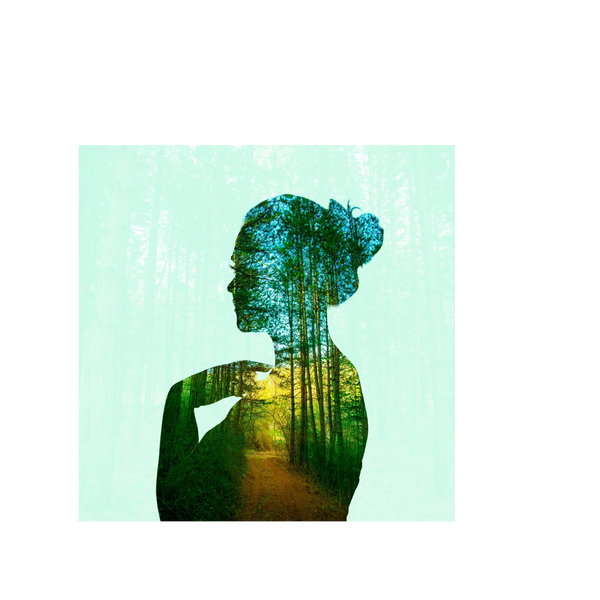 The forest shown through the silhouette of a woman