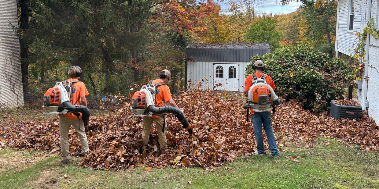 Three people blowing leaves with Stihl backpack blowers.