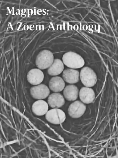 Magpies Zoem Anthology poetry collection