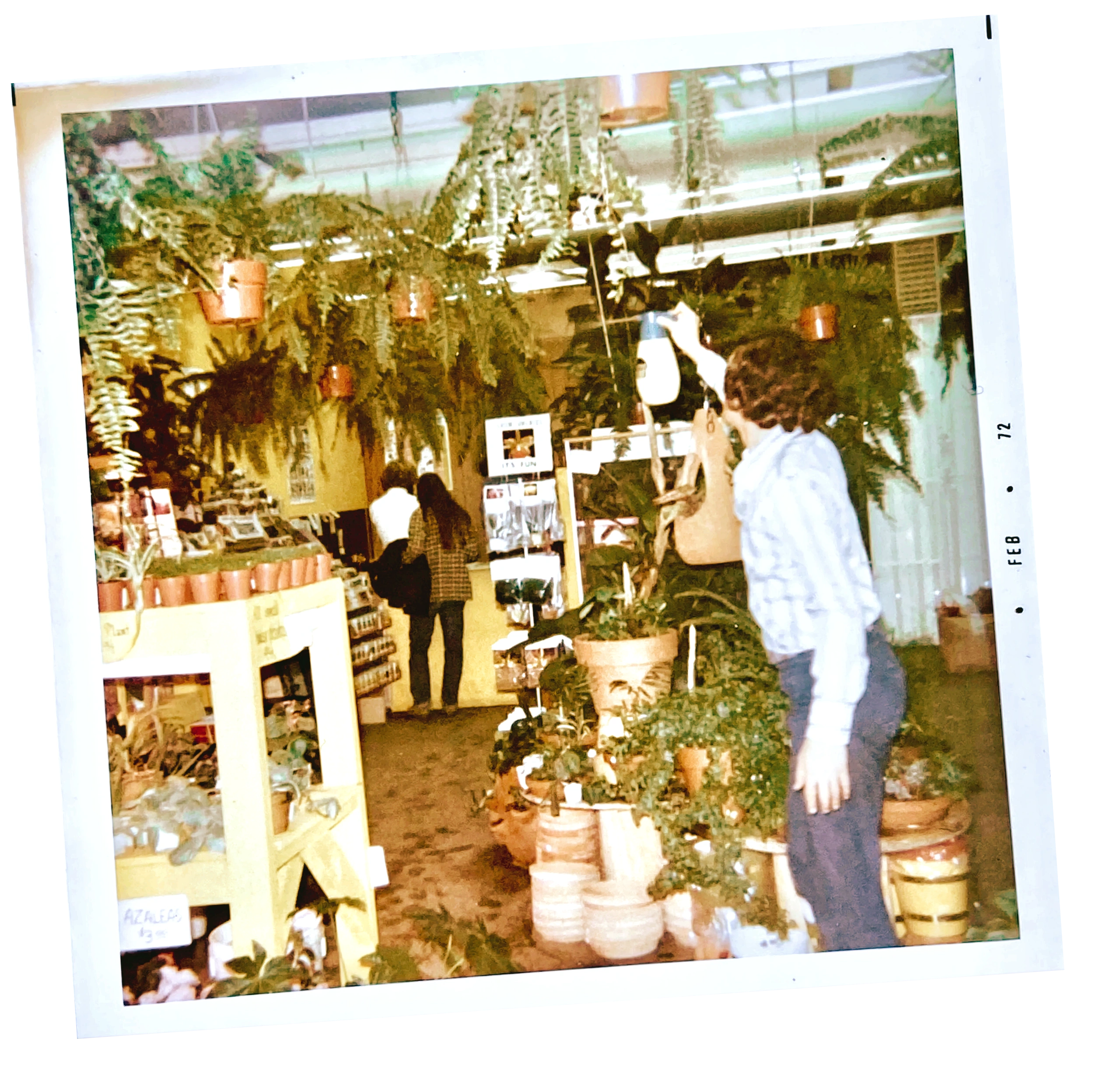 February 1972