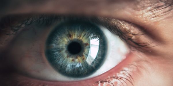 image of a blue and green eye