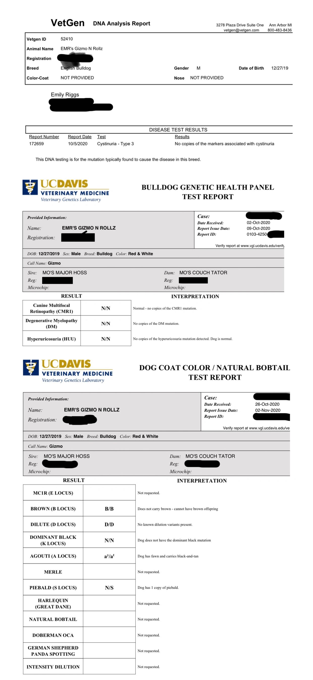 Gizmo's DNA and Health records
