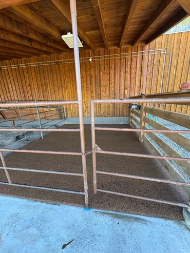Seamless poured-in-place rubber flooring installed in a livestock barn pen by Royal Grand Rubber Sol