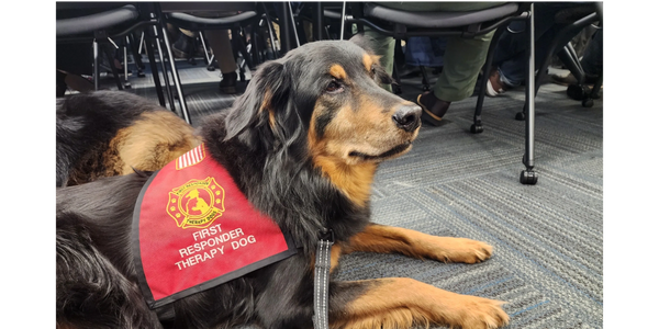 member of first responder therapy dogs