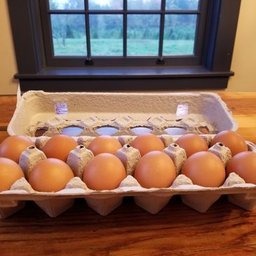 one dozen organic chicken eggs