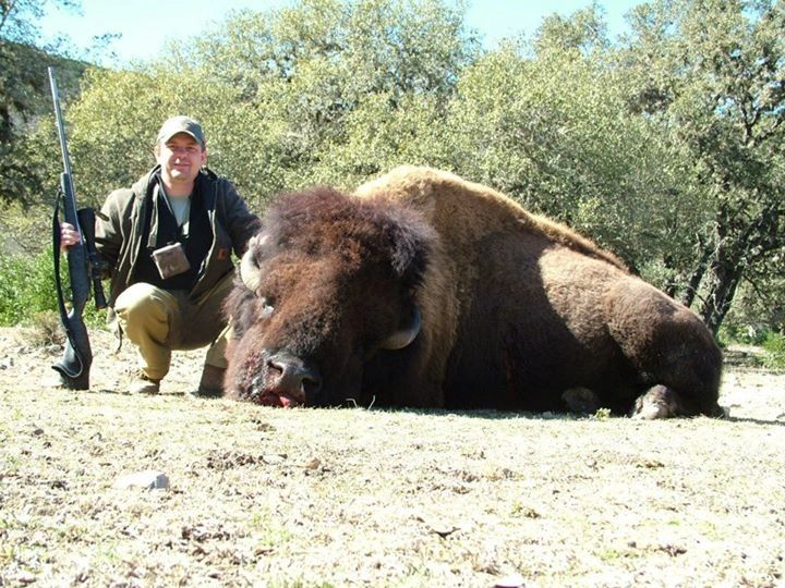 Bison Hunting, Buffalo Creek Ranch