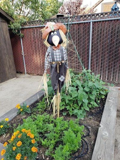 Turlock Nursery School is located in Turlock CA for preschool age children.