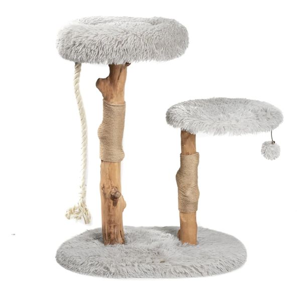 Mau cat trees, cat trees for your kitten, ragdoll kittens, the best cat trees for your kitten, cats