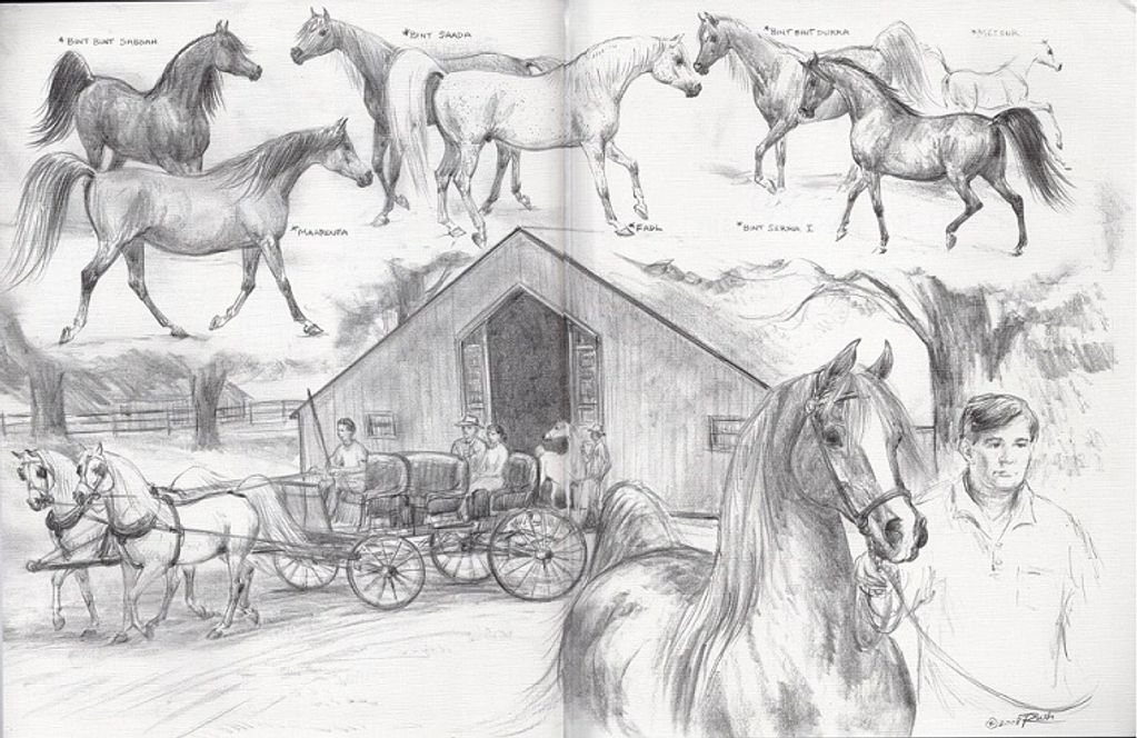 pencil drawing by Rush of Babson Farm and original imports.