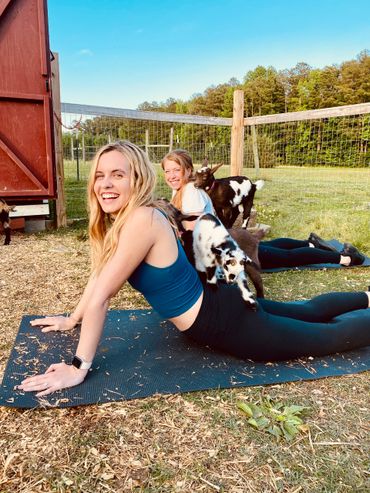 Goat Yoga