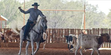 Learn to rope like working cowboys at our cowboy school, teaching ranching, hunting and cowboy skill