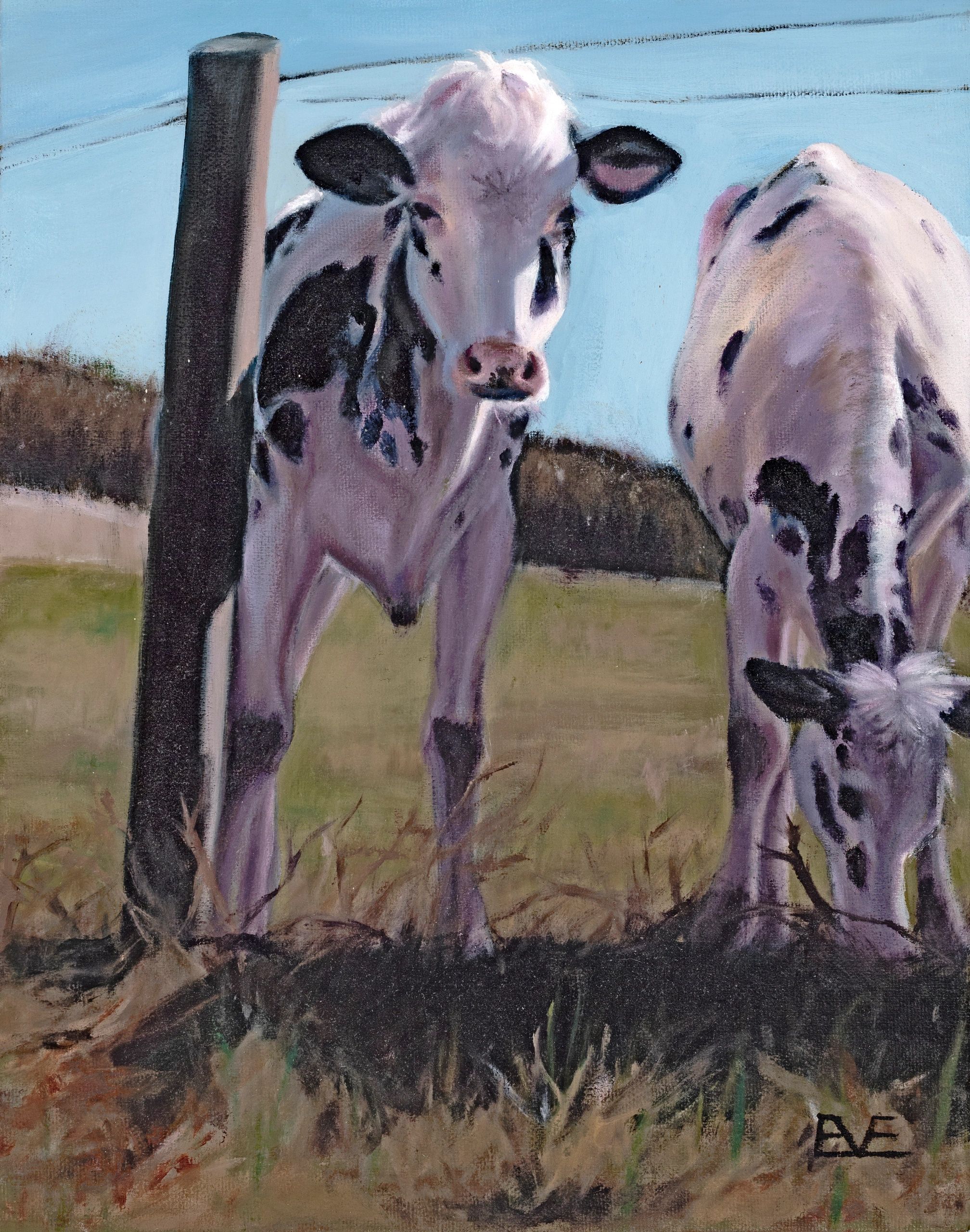 Warm Greetings - two young cows