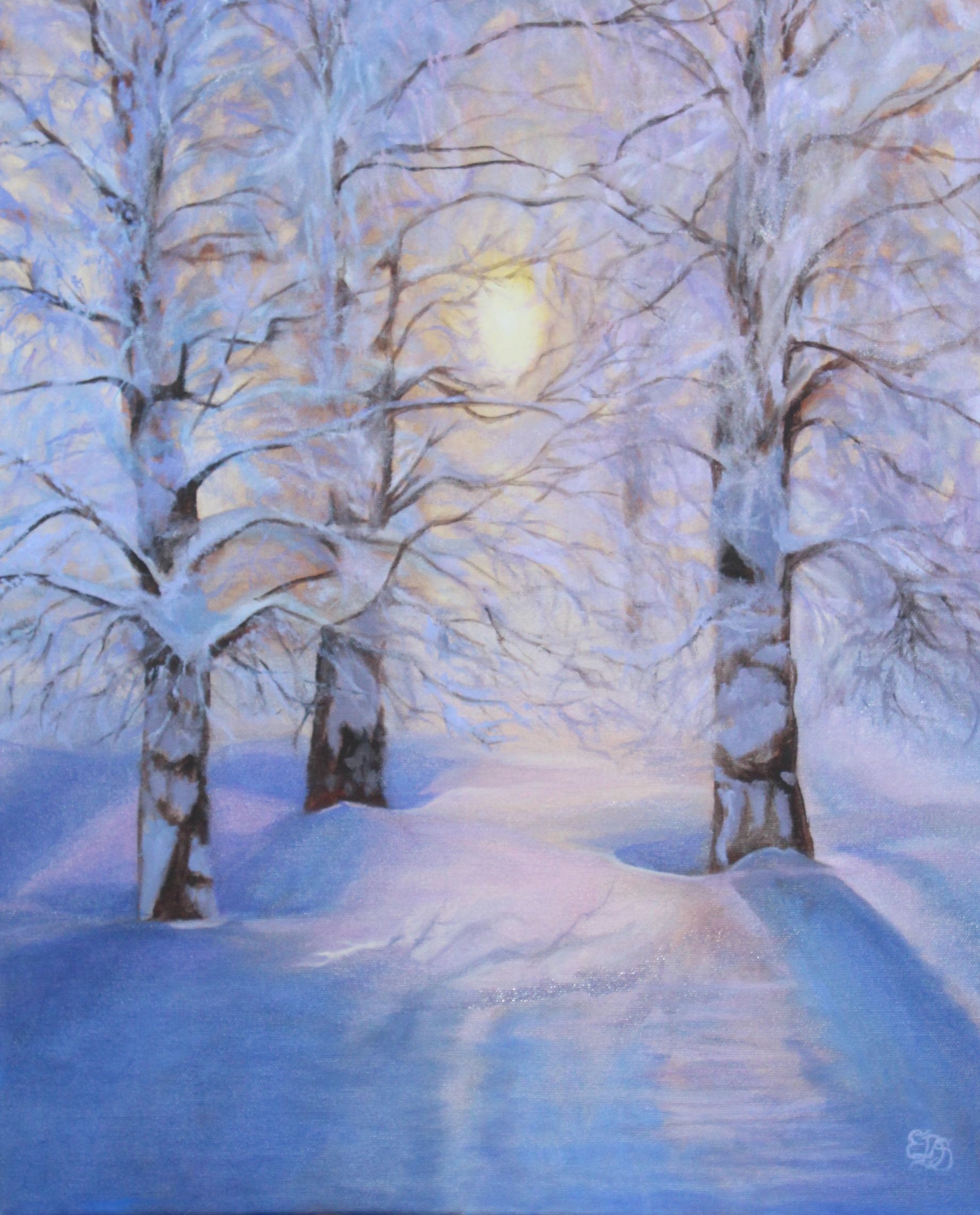 Low sun glowing through snowy trees