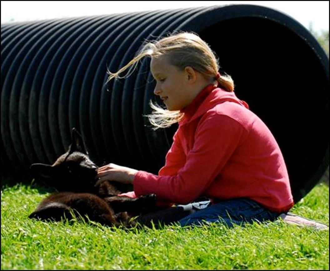 Child with German Shepherd Puppy - Kennel Stavanger - Menlo Park Schutzhund Club - San Francisco bay