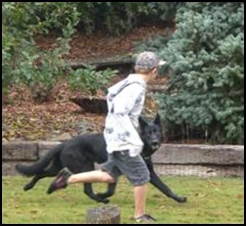 German Shepherd running with a boy