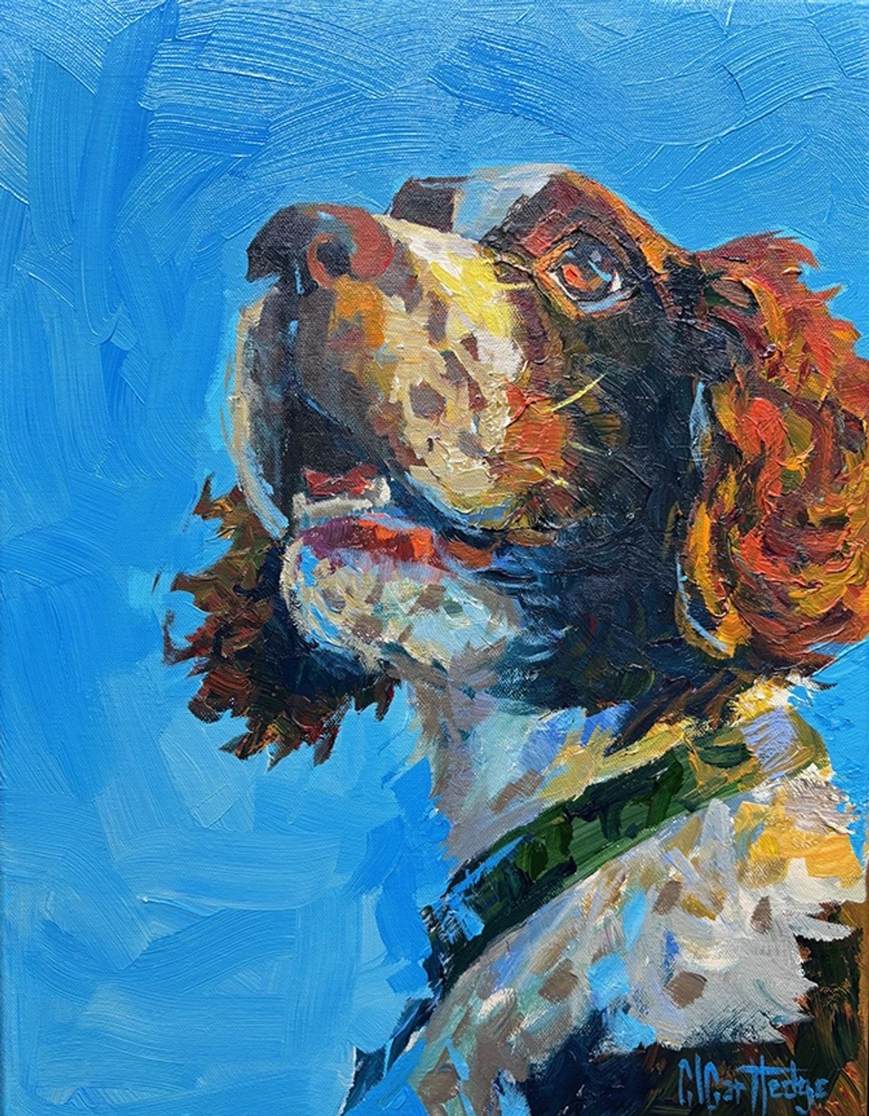 Pet portrait