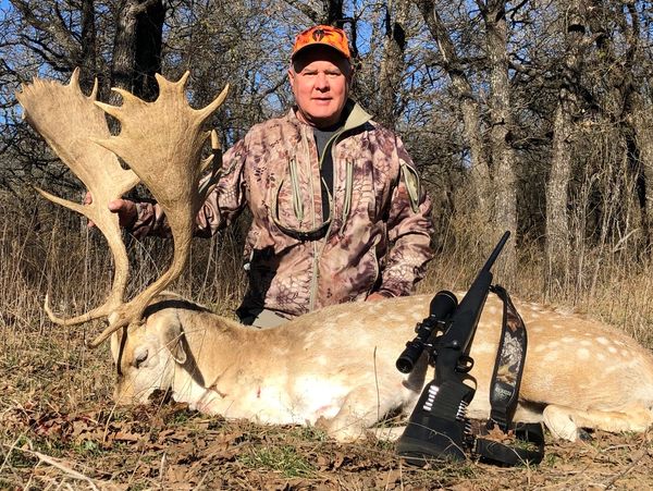 Texas Fallow Deer Hunt