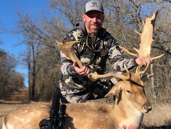 Texas Fallow Deer Hunt