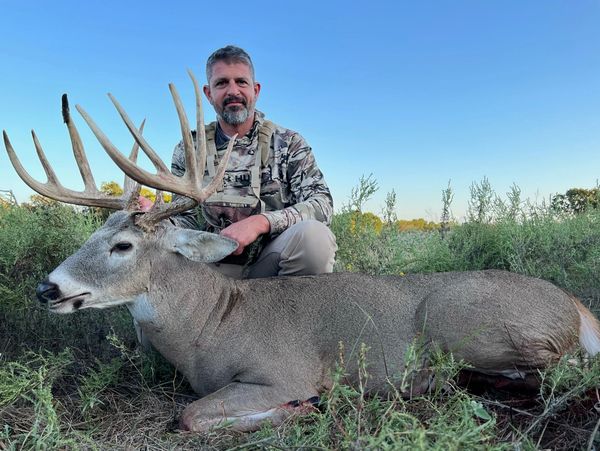 Whitetail Hunts in Texas