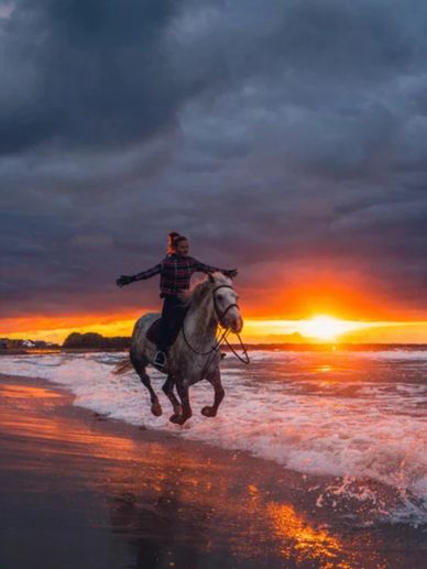 Horseback on the beach