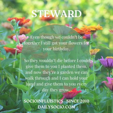 Steward SocioInfluistics