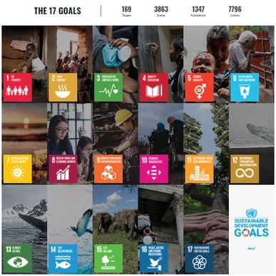 United Nation Sustainability Goals