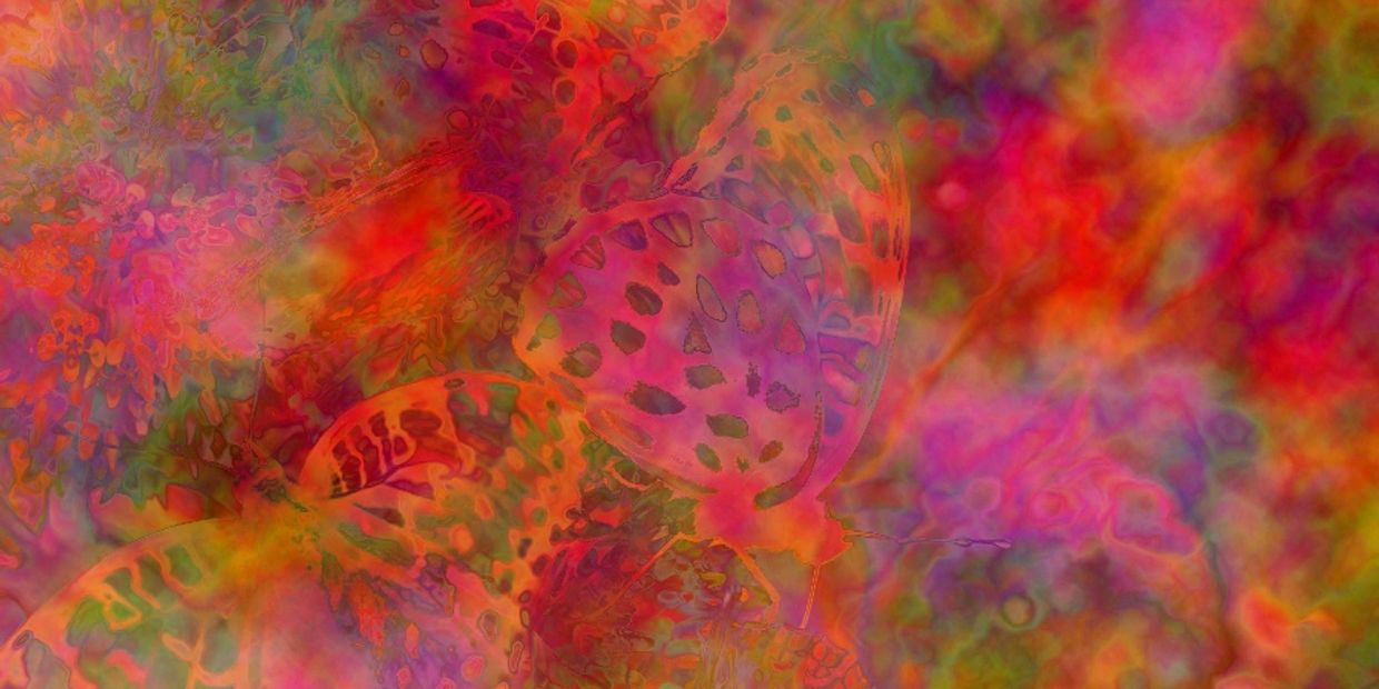 Stylized photograph of Regal Fritillary butterflies
