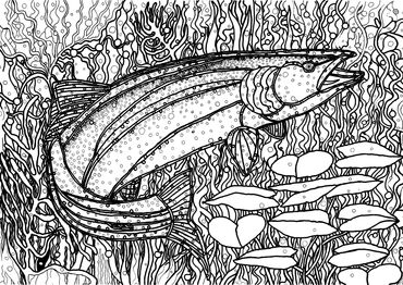Story Wyoming Fish Trout FREE coloring page art
