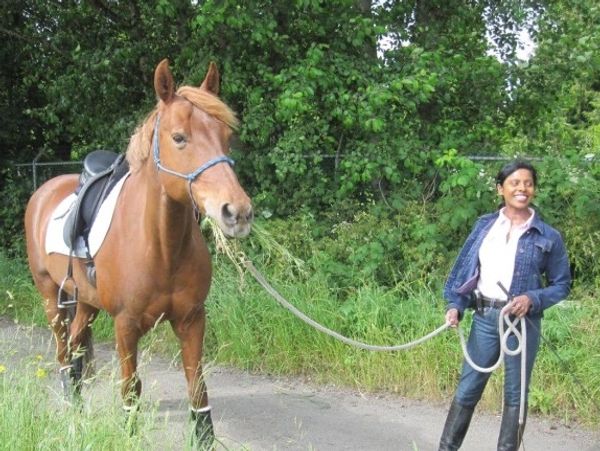 Windsor Stables Vancouver