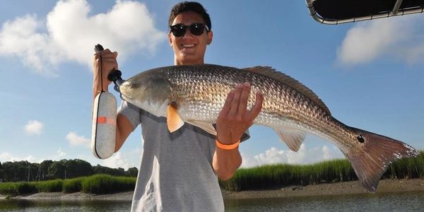 Inshore redfish