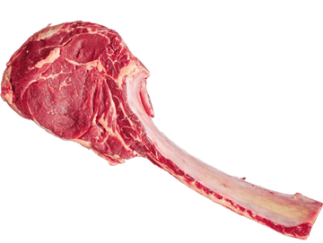 Raw tomahawk steak with long bone on a white background.