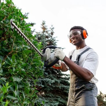 Worker trimming a tall hedge.