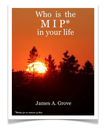 Book cover of a beautiful Sunset with Orange backlit sky.