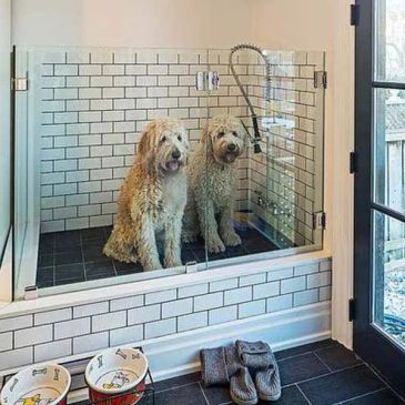 Two dogs sitting in a tiled shower area.