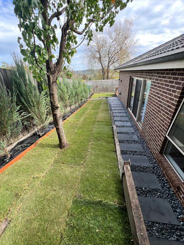 Neatly maintained backyard with grass, stone pathway, and a tree beside a brick house.