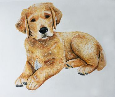 Dexter Puppy
Oils