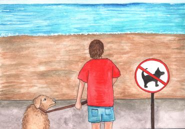 no dogs on the beach