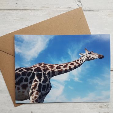 Photo greeting cards