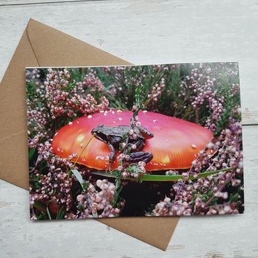 Photo greeting cards