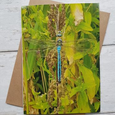 Photo greeting cards