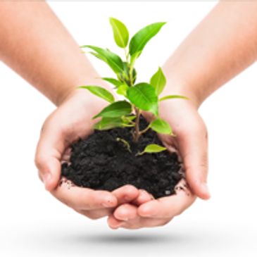 Landscaper in Waxhaw NC Mint Hill NC 28173 and 28227