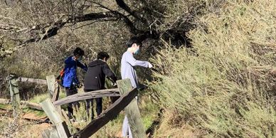 Clearing brush around trails on 11/21/21.