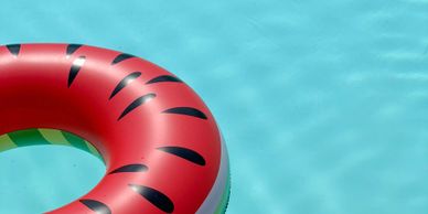 flying-fish-swim-school-about-fun