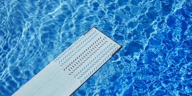 flying-fish-swim-school-about-safety