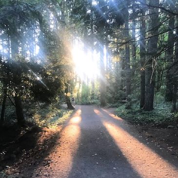 Always a warm light to guide the way